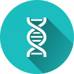dna